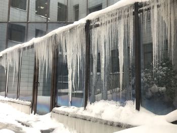 Icicles on snow covered land by house