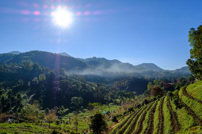 Scenic view of landscape against sky