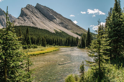 Wide angle view of elbow lake on a sunny summer day