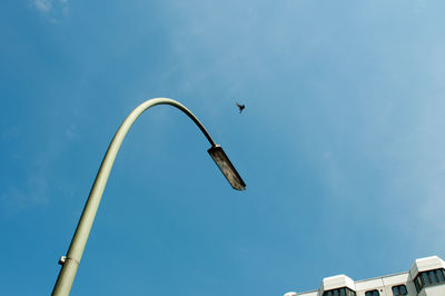 Low angle view of bird flying against blue sky