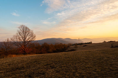 Scenic view of field against sky during sunset