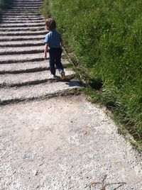 Rear view of boy walking on staircase