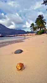 Scenic view of beach against cloudy sky