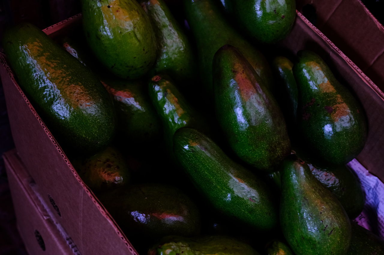 food and drink, food, green, healthy eating, freshness, wellbeing, vegetable, produce, plant, no people, large group of objects, container, cucumber, abundance, gherkin, still life, zucchini, close-up, fruit, indoors, high angle view, market, organic, eggplant, box, retail