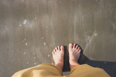 Low section of man standing on beach