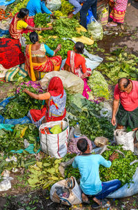 High angle view of people walking by plants