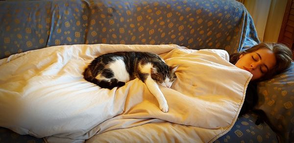 Cat sleeping in a bed