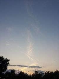 Low angle view of trees against cloudy sky