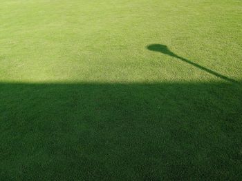High angle view of golf ball on field
