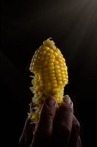 Close-up of hand holding boiled corn against black background