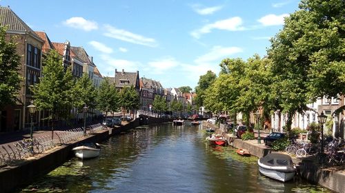 Canal amidst trees and buildings in city