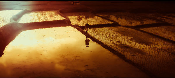 Reflection of sky in puddle on street