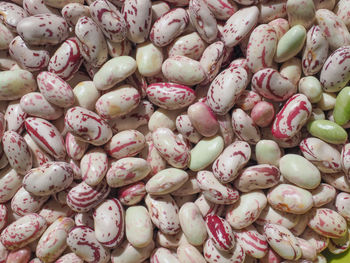 Full frame shot of seashells