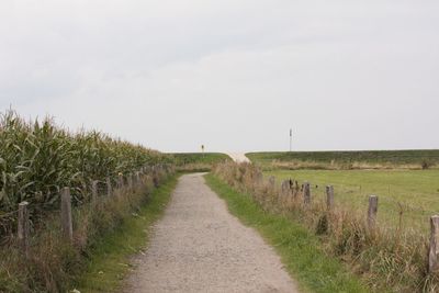 Road amidst agricultural field against sky