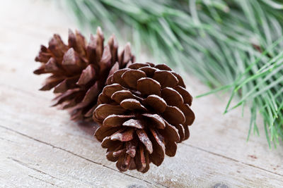 Close-up of pine cone on table