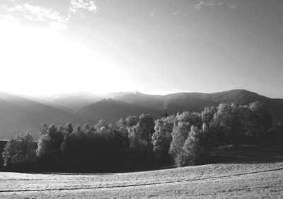 Scenic view of agricultural field against clear sky