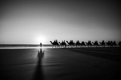 Silhouette people riding on camels at beach against sky during sunset
