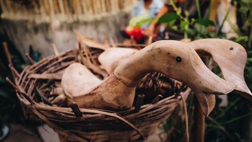 Close-up of mushrooms in basket