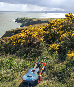 High angle view of acoustic guitar on field by sea