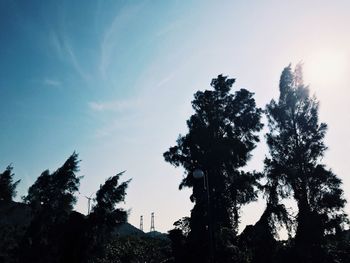 Low angle view of tree against sky