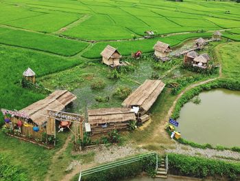 High angle view of agricultural field