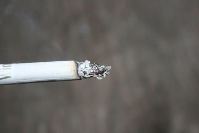 Close-up of cigarette smoking outdoors