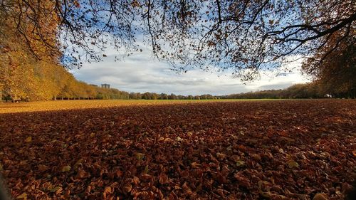 Scenic view of field against sky during autumn