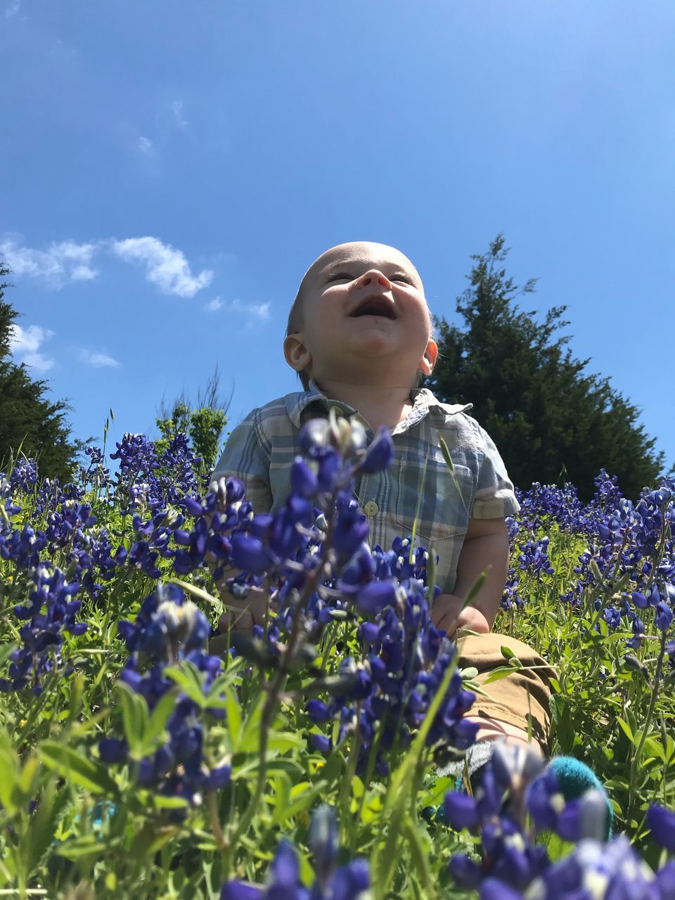 plant, flowering plant, flower, nature, growth, fragility, vulnerability, leisure activity, one person, freshness, sky, day, lifestyles, sunlight, beauty in nature, real people, land, looking, field, child, purple, outdoors, flower head