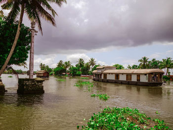 Palm trees against cloudy sky