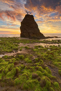 Rock formation on sea shore against sky during sunset