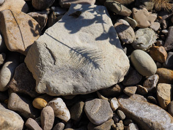 High angle view of stones on pebbles