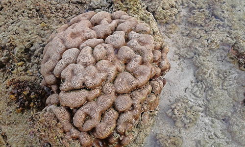 Close-up of sand on beach