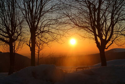 Bare trees on snow covered landscape