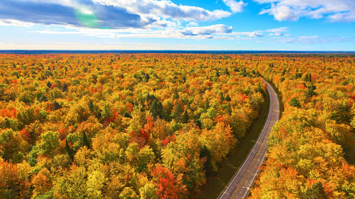 Scenic view of agricultural field