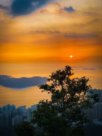 Silhouette tree by building against romantic sky at sunset