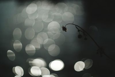 Close-up of illuminated lamp