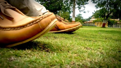 Low section of man relaxing on grass