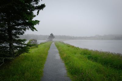 Scenic view of trees on field against sky
