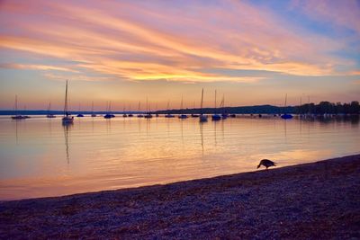 Sunset at the lake in herrsching, ammersee, bavaria, germany