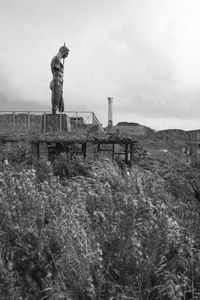 Statue on field against sky