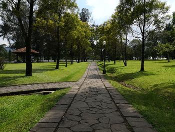 View of trees on landscape against sky