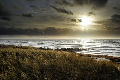 Scenic view of sea by grassy field against cloudy sky on sunny day