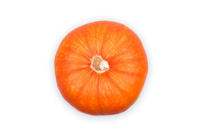 Directly above shot of orange pumpkins against white background