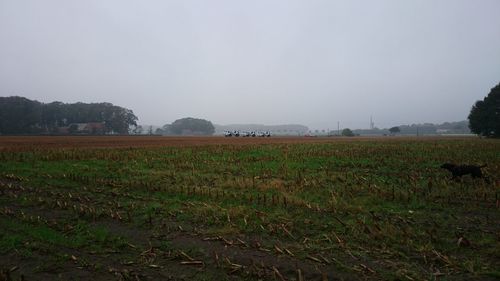 field