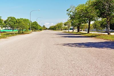 Empty road along trees