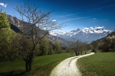 Road amidst trees and plants on field against sky