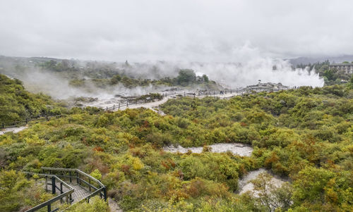 Scenery around the geothermal valley te puia in new zealand