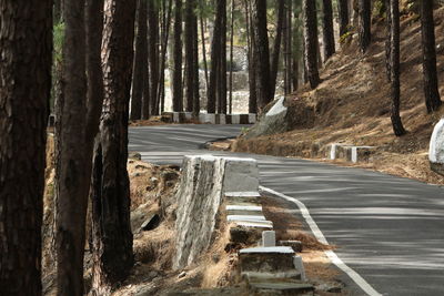 Empty road amidst trees in forest