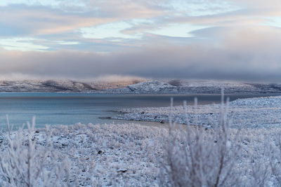 Scenic view of sea against sky during winter