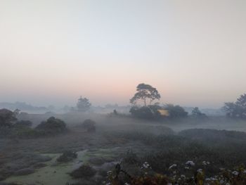 Trees on landscape against sky during foggy weather